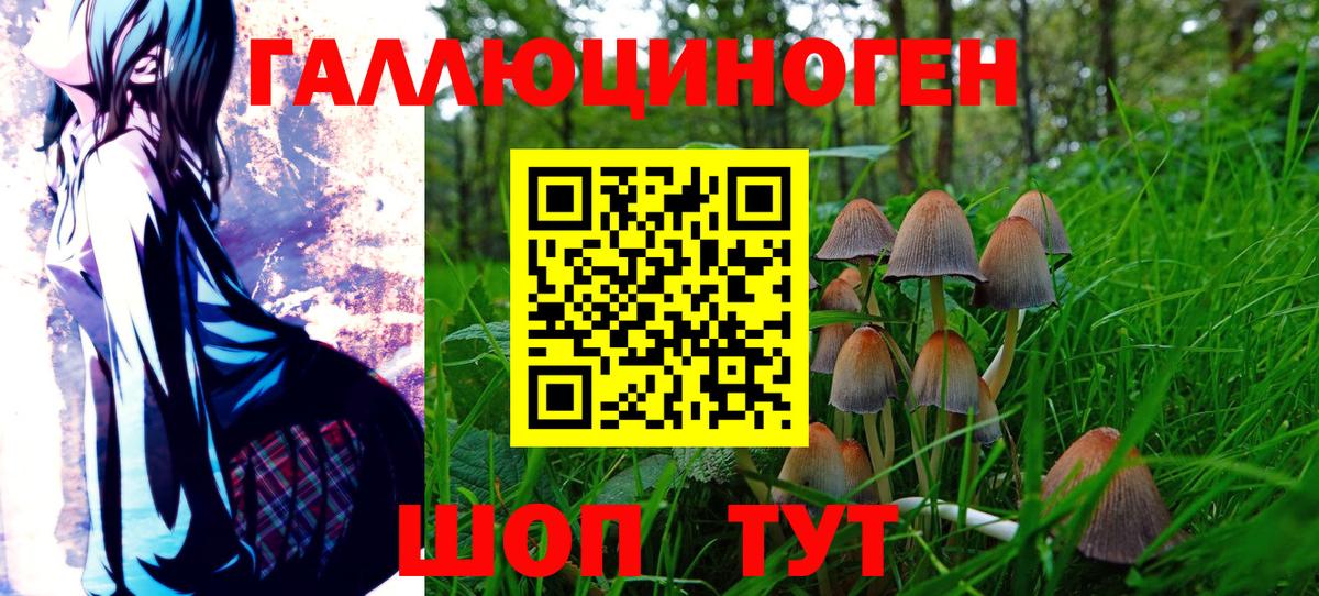 Галлюциногенные грибы Psilocybe  Вход с VPN  Ртищево 